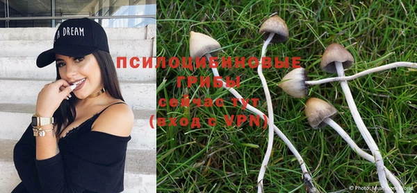кокаин перу Инсар